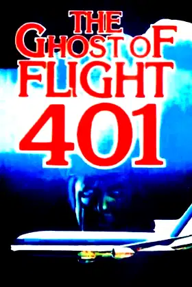 The Ghost of Flight 401 poster