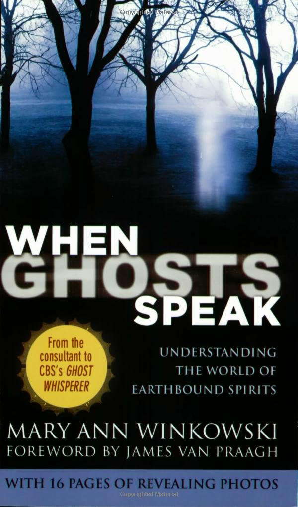 When Ghosts Speak: Understanding the World of Earthbound Spirits poster