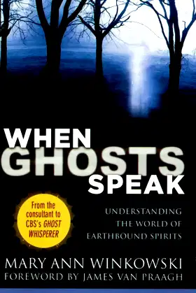 When Ghosts Speak: Understanding the World of Earthbound Spirits poster