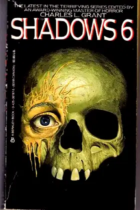 Shadows 6 poster