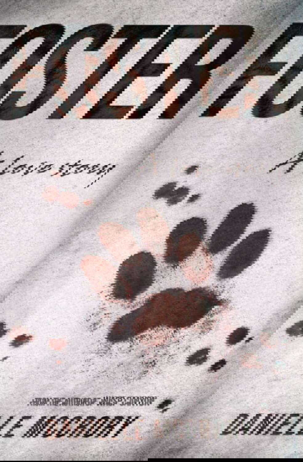 Foster: A Love Story poster