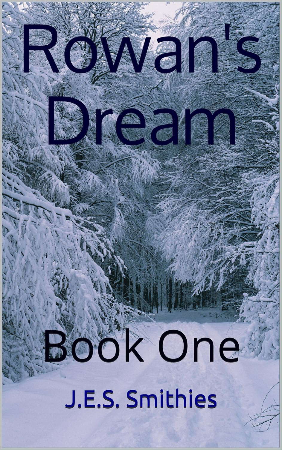 Rowan's Dream: Book One (Caronwyn's Matrix 1) poster