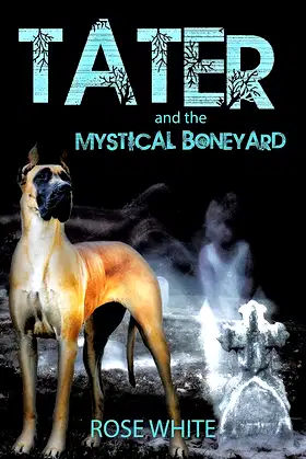 Tater and the Mystical Boneyard poster