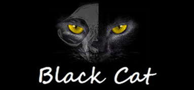 Black Cat capsule