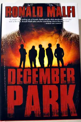 December Park poster