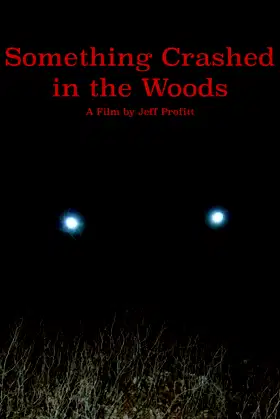 Something Crashed in the Woods poster