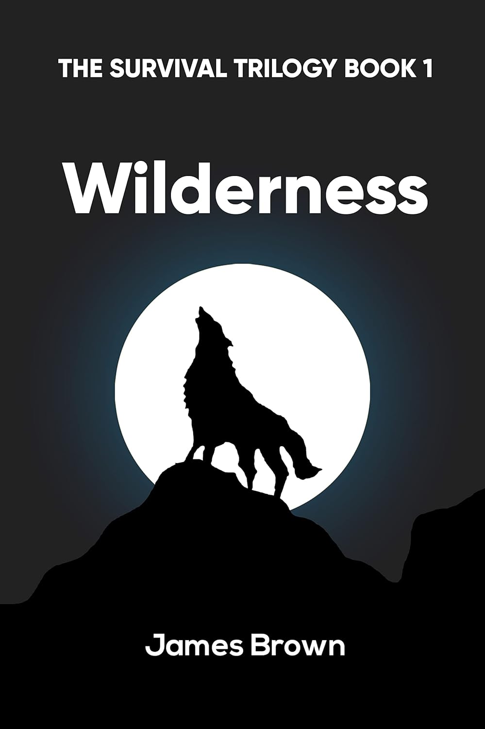 Wilderness: The Survival Trilogy Book 1 poster