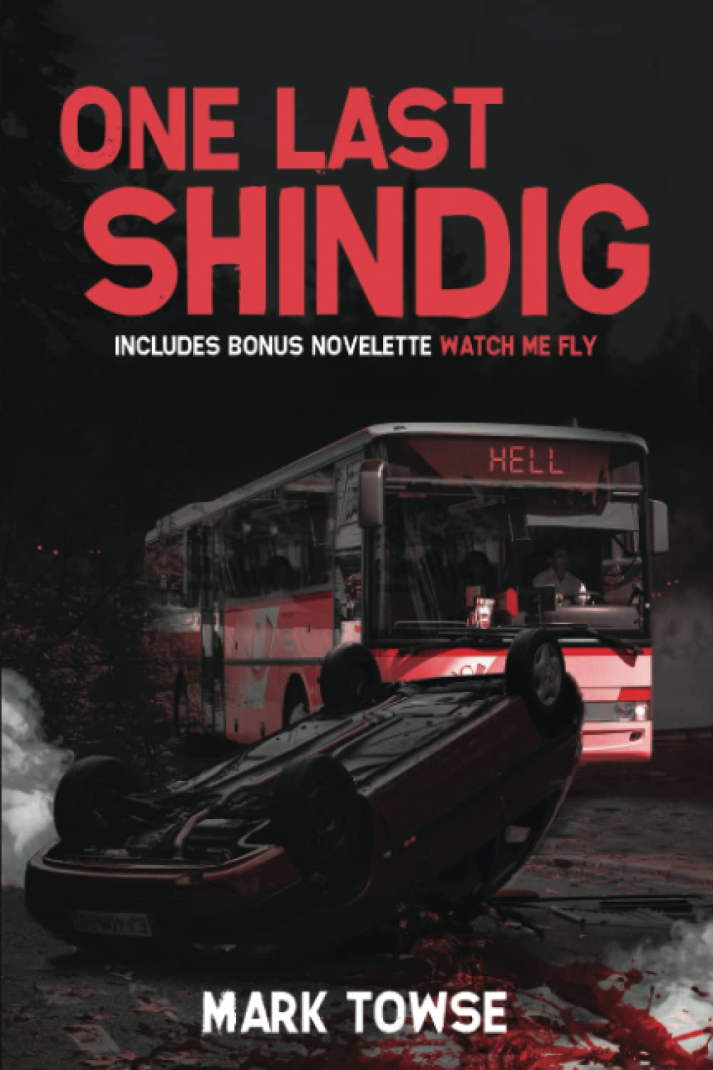 One Last Shindig poster