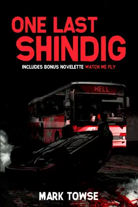 One Last Shindig poster