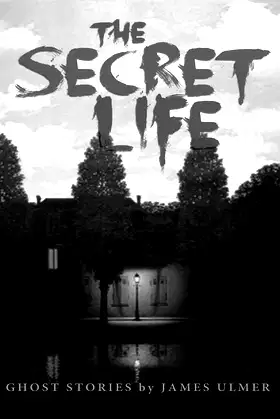 The Secret Life poster