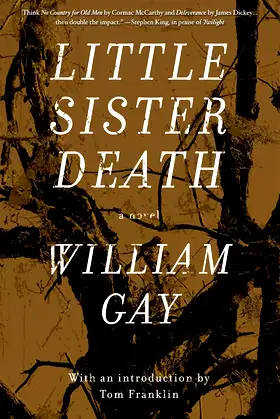 Little Sister Death: A Novel poster