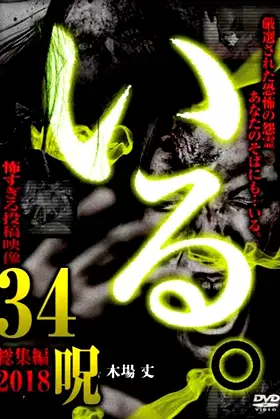 「Iru.」Sōshūhen ~ 2018 Kowasugiru Tōkō Eizō 34 Noroi ~ poster