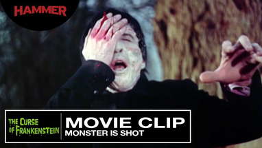 Monster is Shot poster