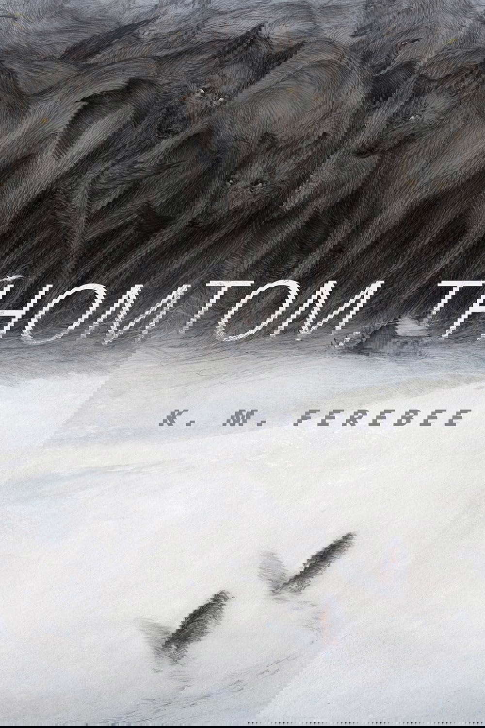 Tom, Thom: A Tor.Com Original poster