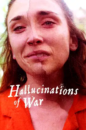Hallucinations of War poster