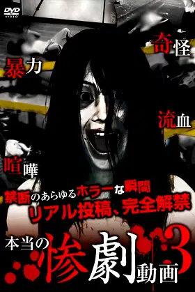Real Tragedy Video 3 poster