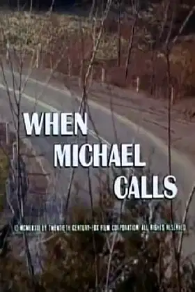 When Michael Calls poster