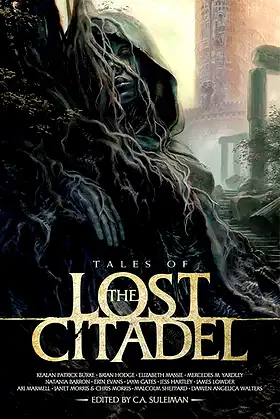 Tales of the Lost Citadel Anthology poster
