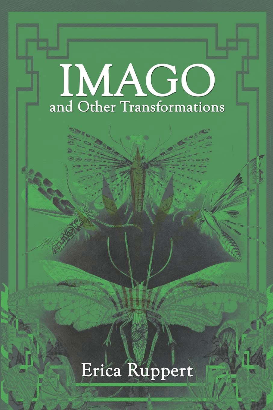 Imago and Other Transformations poster