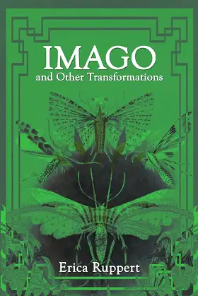 Imago and Other Transformations poster