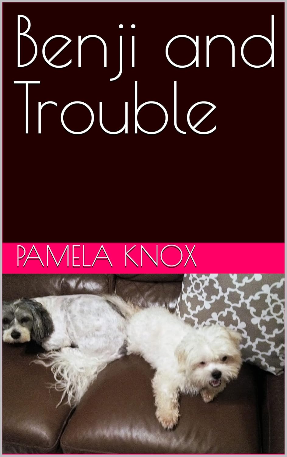 Benji and Trouble poster