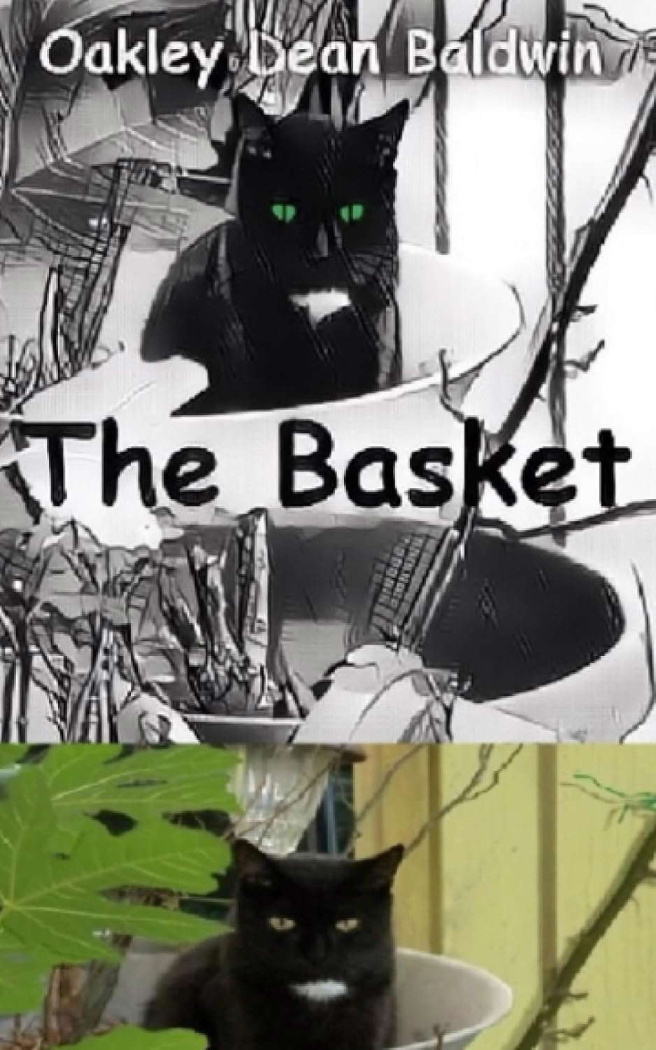 The Basket poster