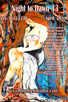Night to Dawn 33 poster