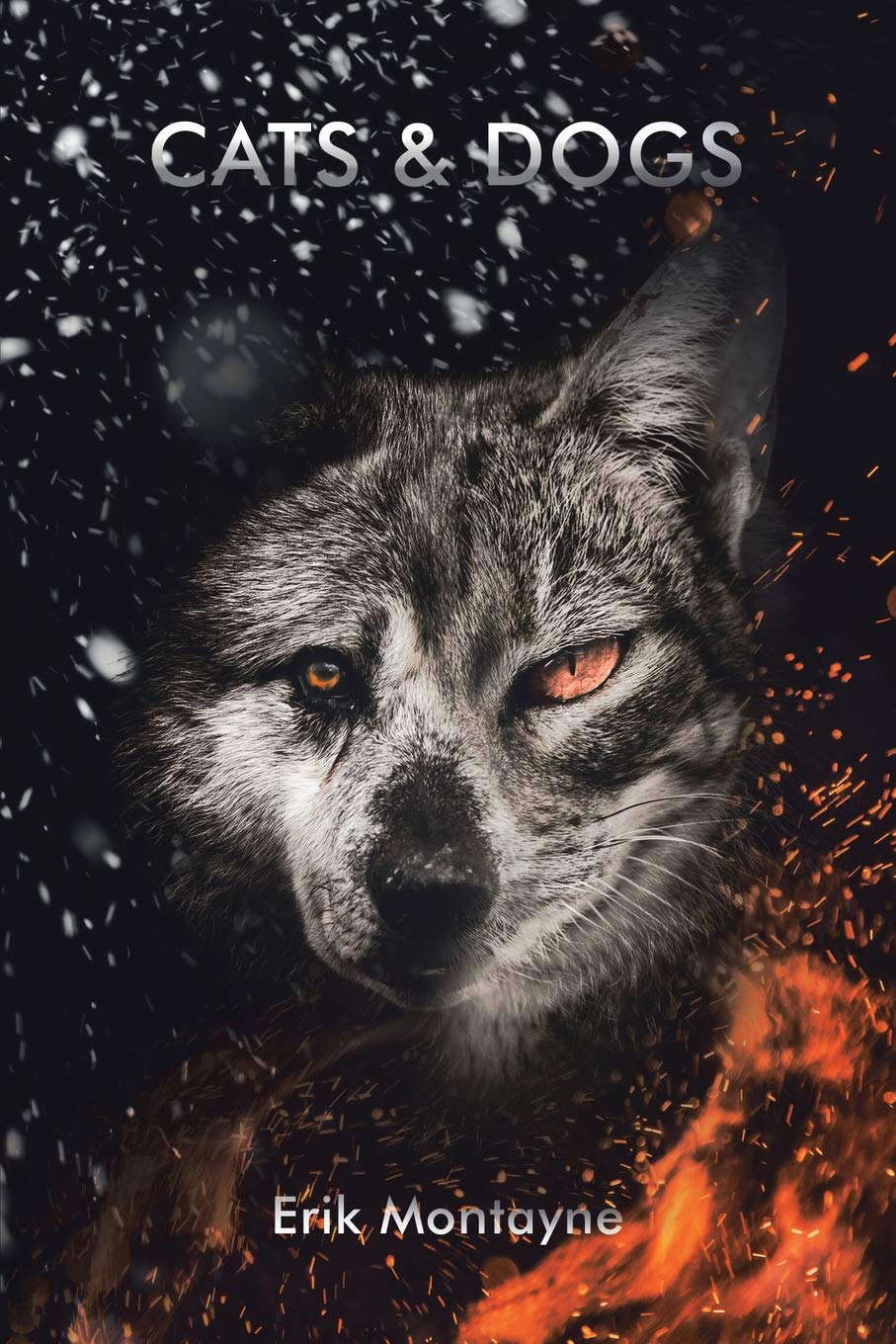 Cats & Dogs poster