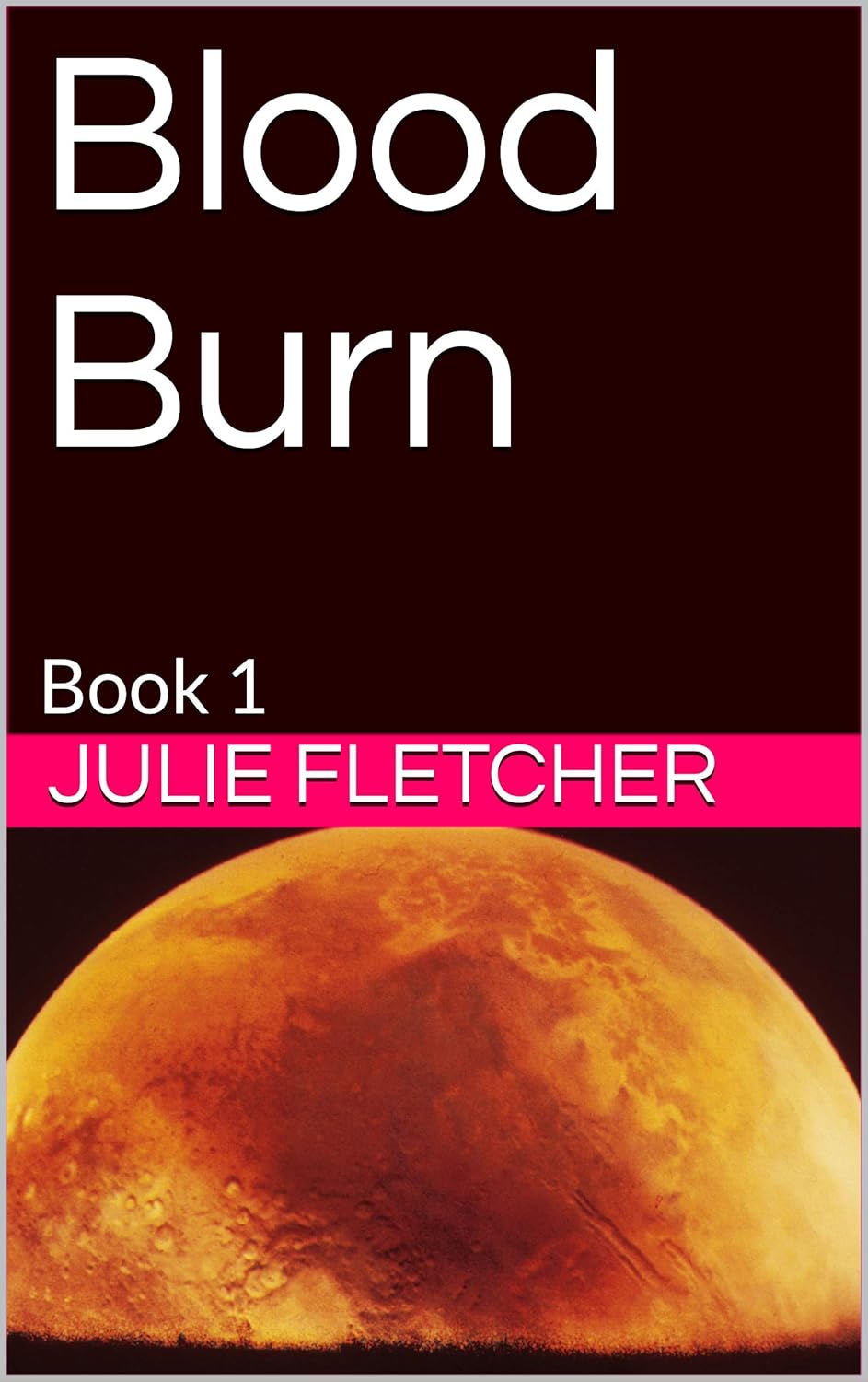 Blood Burn: Book 1 poster