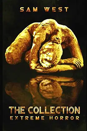 The Collection: Extreme Horror poster