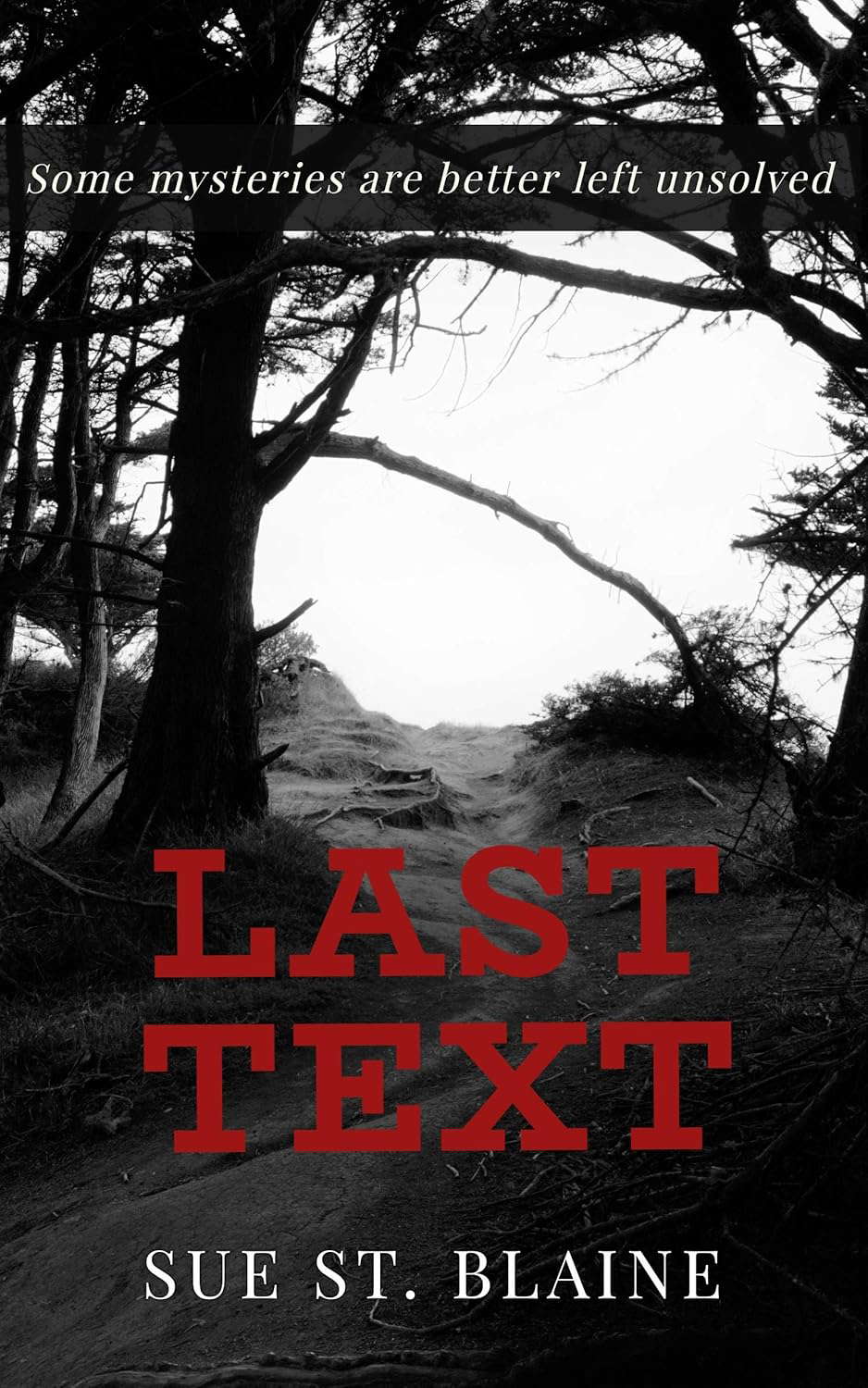 Last Text: Some Mysteries are Better Left Unsolved poster