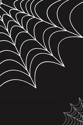 Webs poster