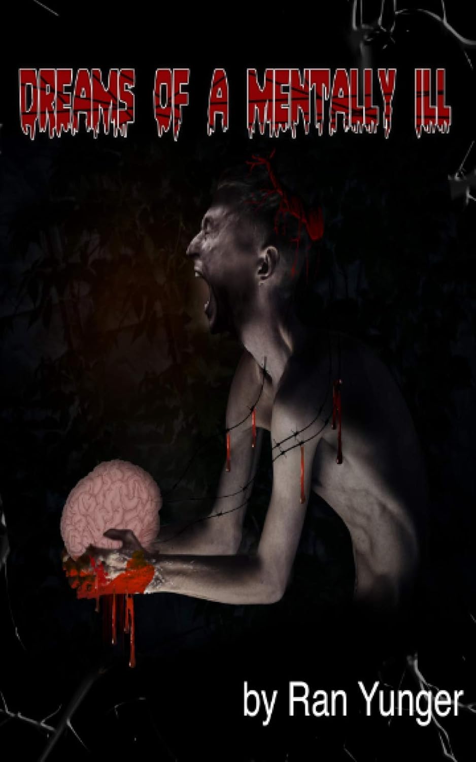 Dreams of a Mentally Ill poster