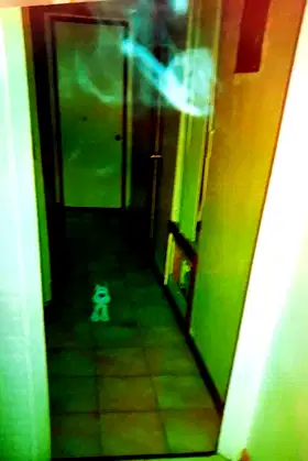 My Life With Ghosts, Personal Interactions poster