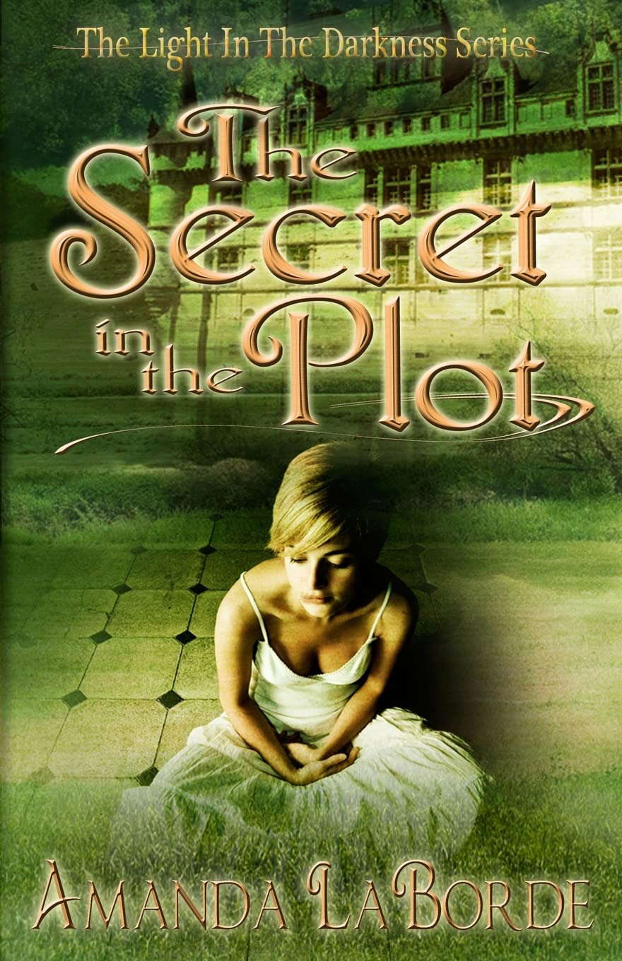 The Secret in the Plot (The Light In The Darkness) poster