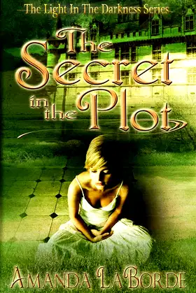 The Secret in the Plot (The Light In The Darkness) poster