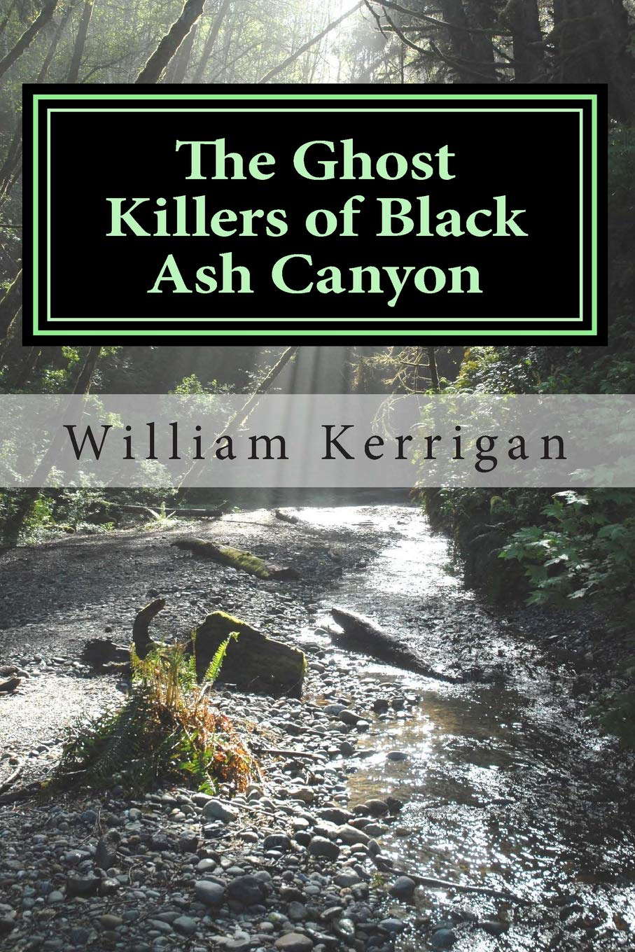 The Ghost Killers of Black Ash Canyon (Tales of the Ghost Killers) poster