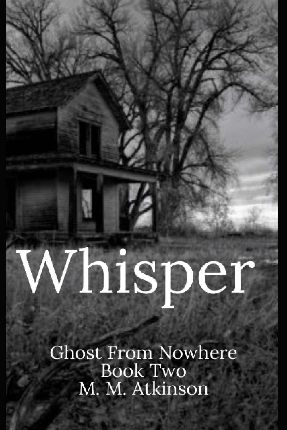 Whisper: Ghost From Nowhere Book Two poster