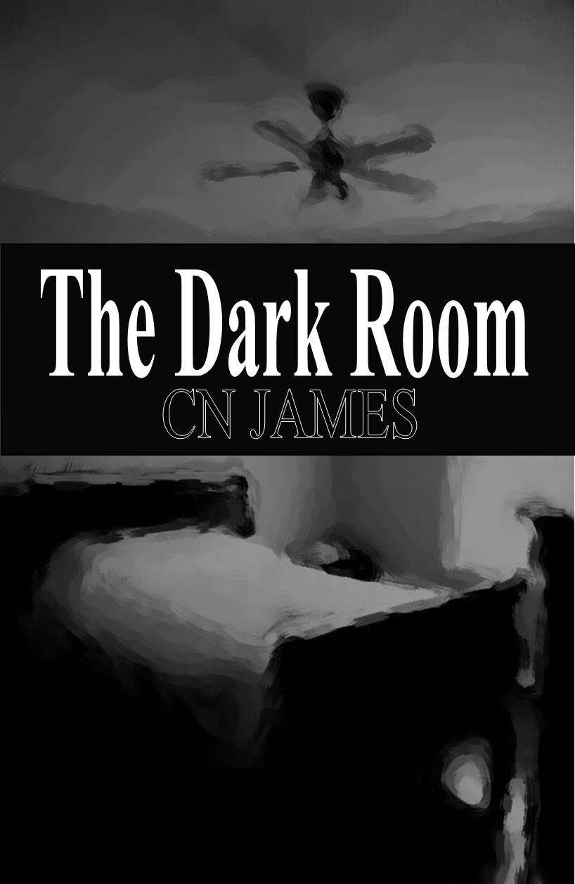 The Dark Room poster
