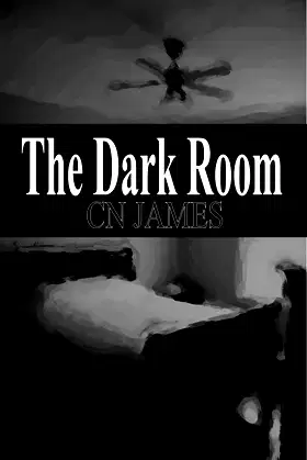 The Dark Room poster