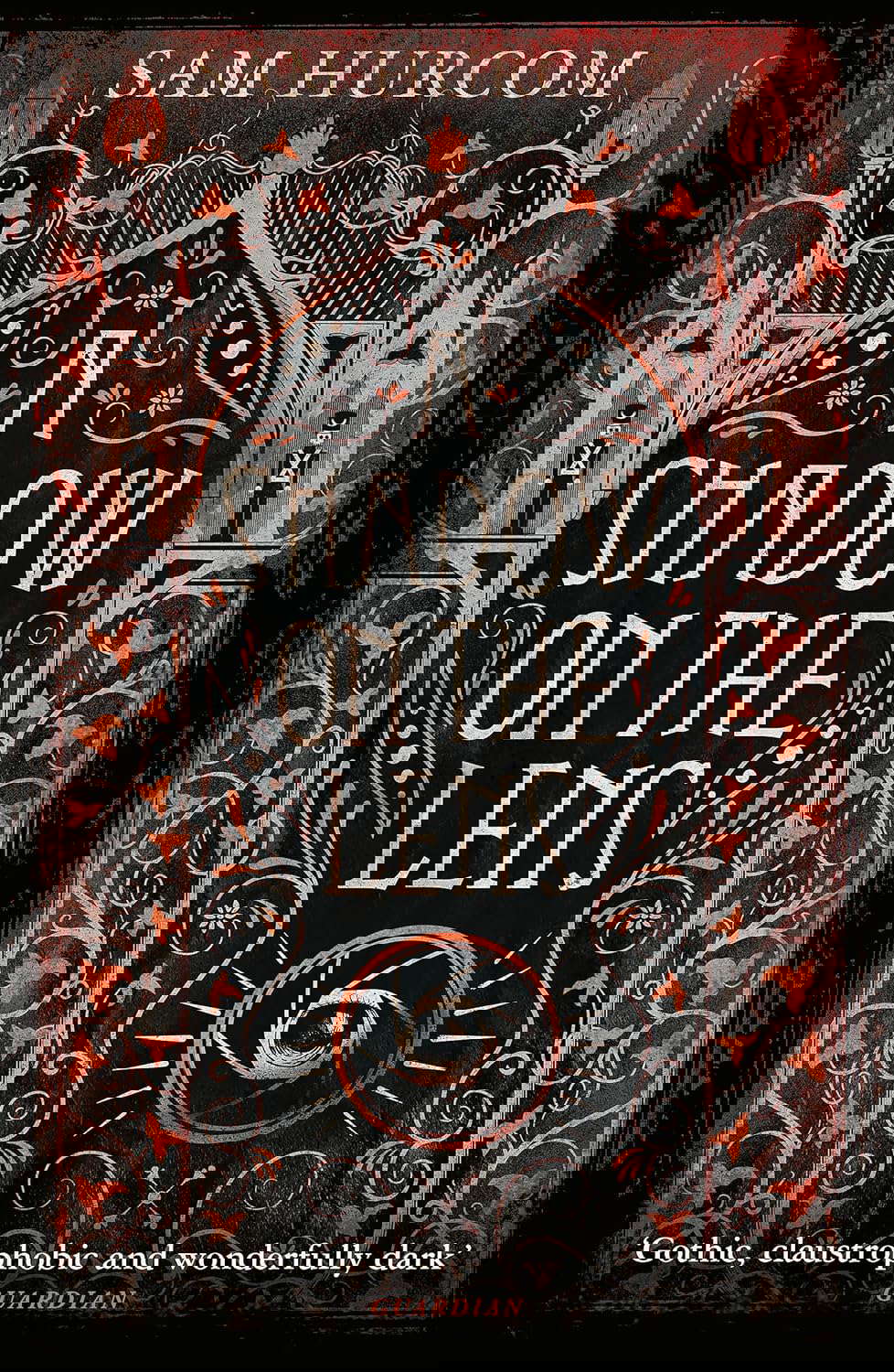 A Shadow on the Lens poster