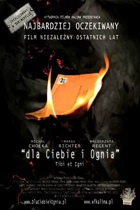 For You and for Fire poster
