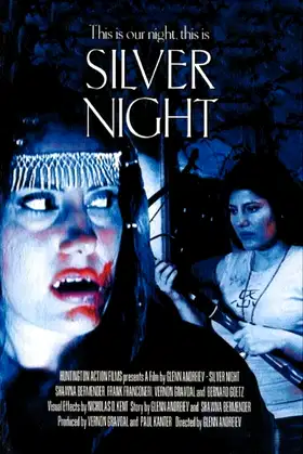 Silver Night poster