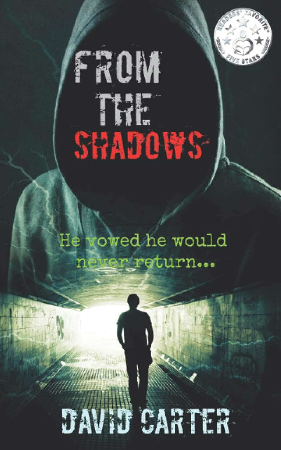 From the Shadows (Blaze series) poster