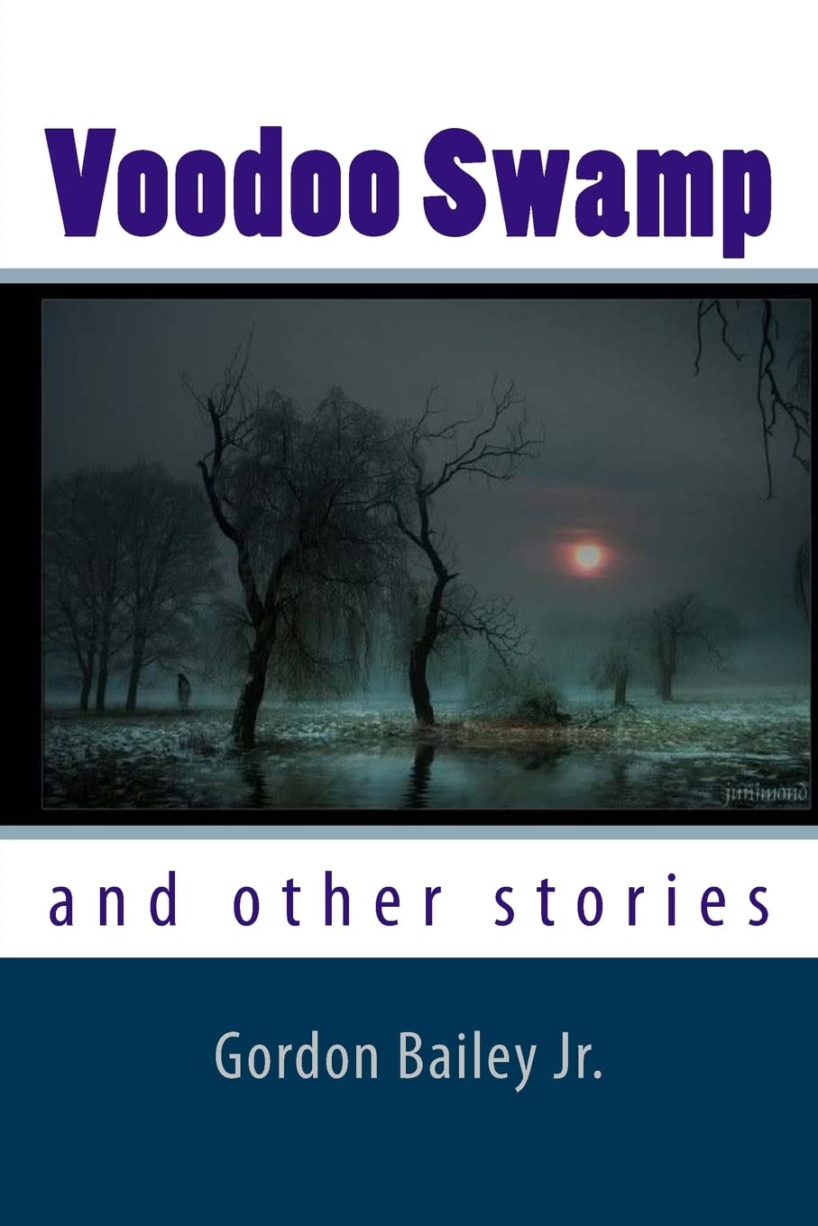 Voodoo Swamp: and other stories poster