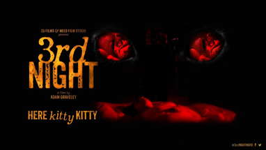 3RD NIGHT TRAILER poster