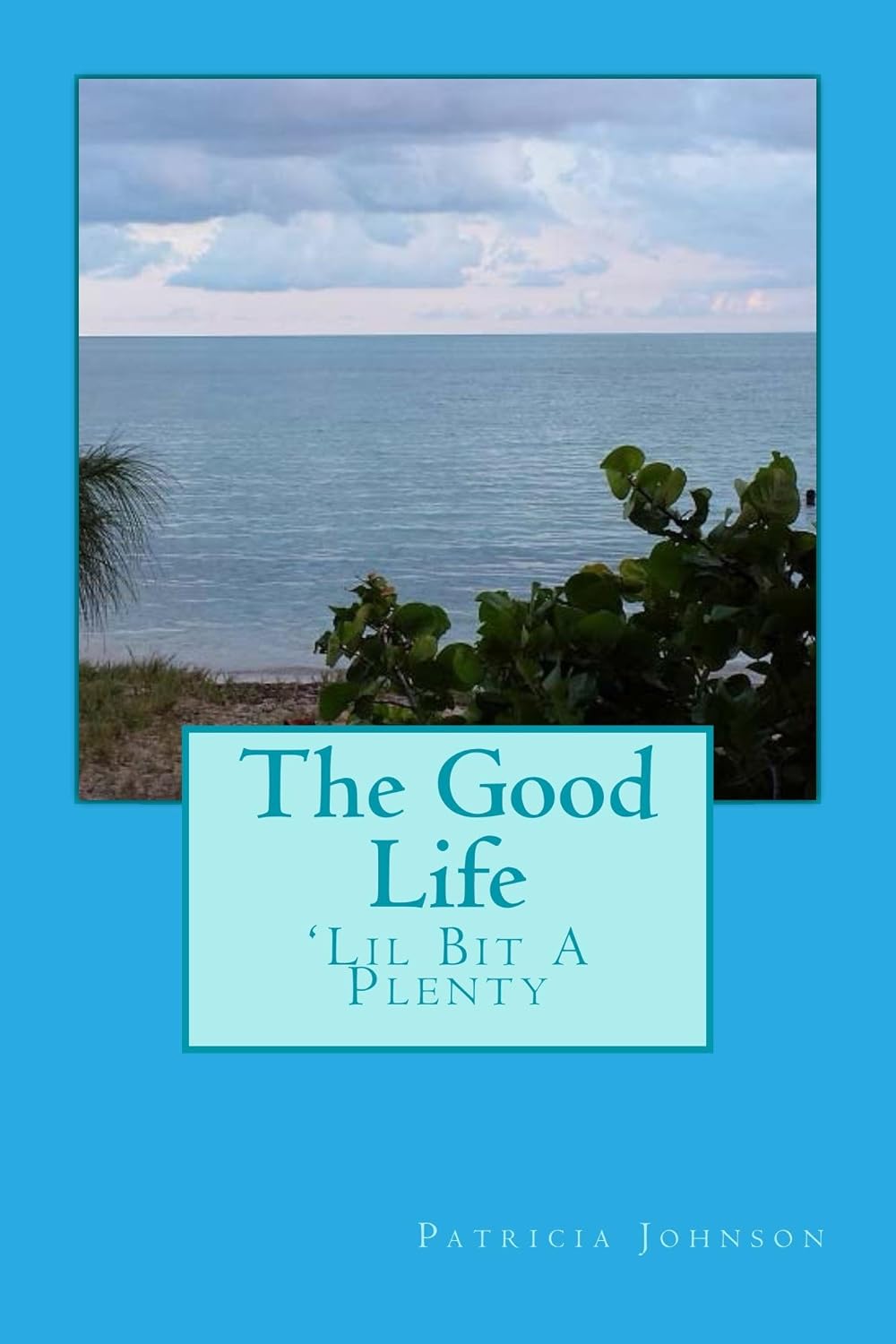 The Good Life: 'Lil Bit A Plenty poster