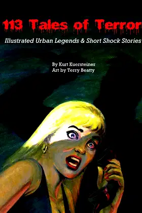 113 Tales of Terror: Illustrated Urban Legends & Short Shock Stories poster