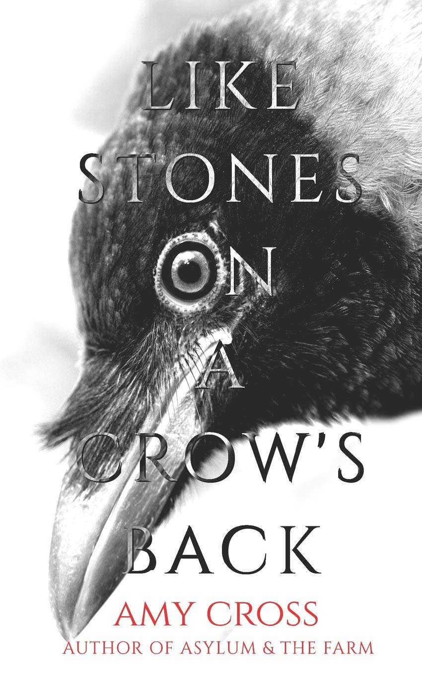 Like Stones on a Crow's Back (The Deal) poster