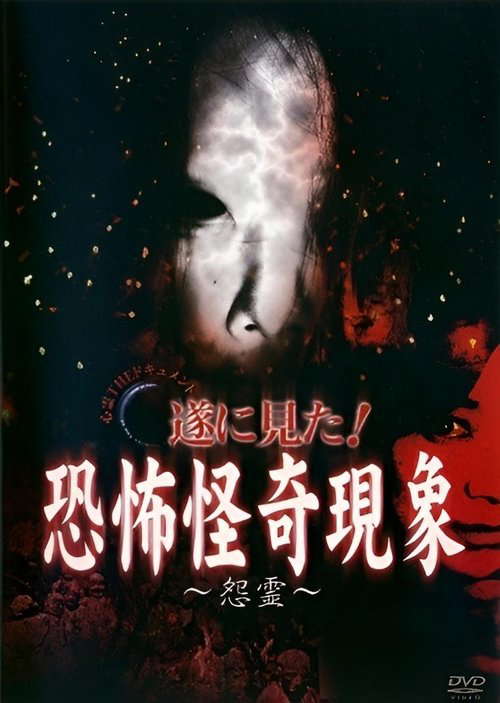 Paranormal THE Documentary: Finally Witnessed! Terrifying and Strange Phenomena - Resentful Spirits poster